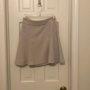 Express Dress Skirt